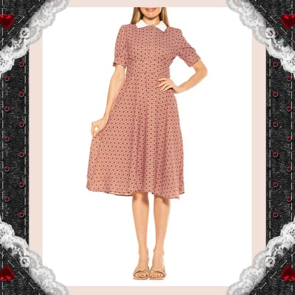 Alexia Admor | Dresses | Alexia Admor Contrastcollar Flare Dress | Poshmark Alexia Admor | Dresses | Alexia Admor Contrastcollar Flare Dress | Poshmark
